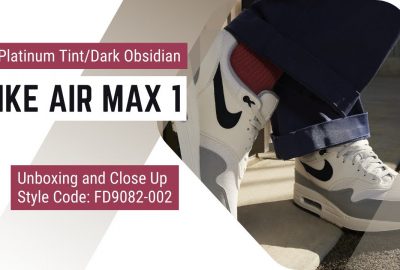 Nike Air Max 1 Platinum Tint/Dark Obsidian FD9082-002